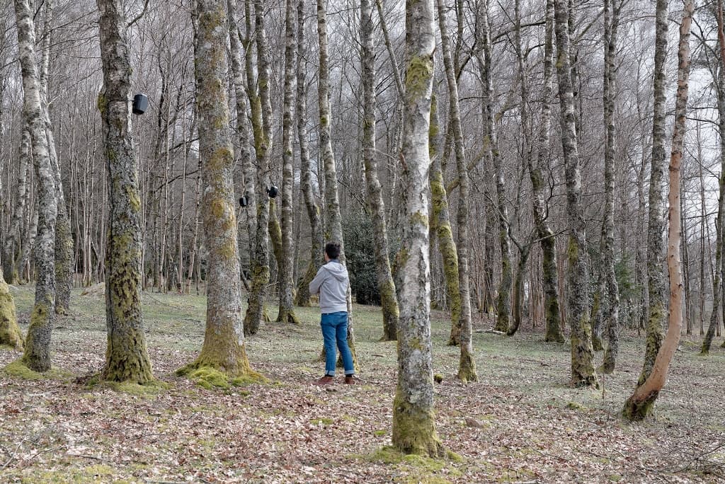 Bois de sculptures de l'Ile de Vassivière_1