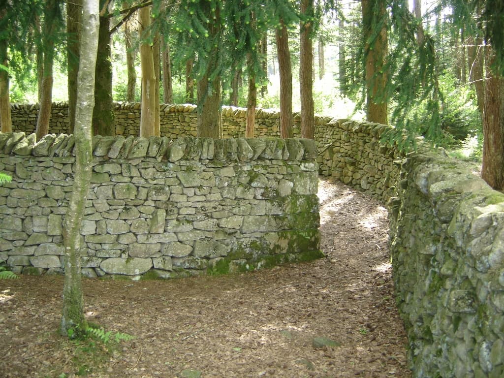 Bois de sculptures de l'Ile de Vassivière_5