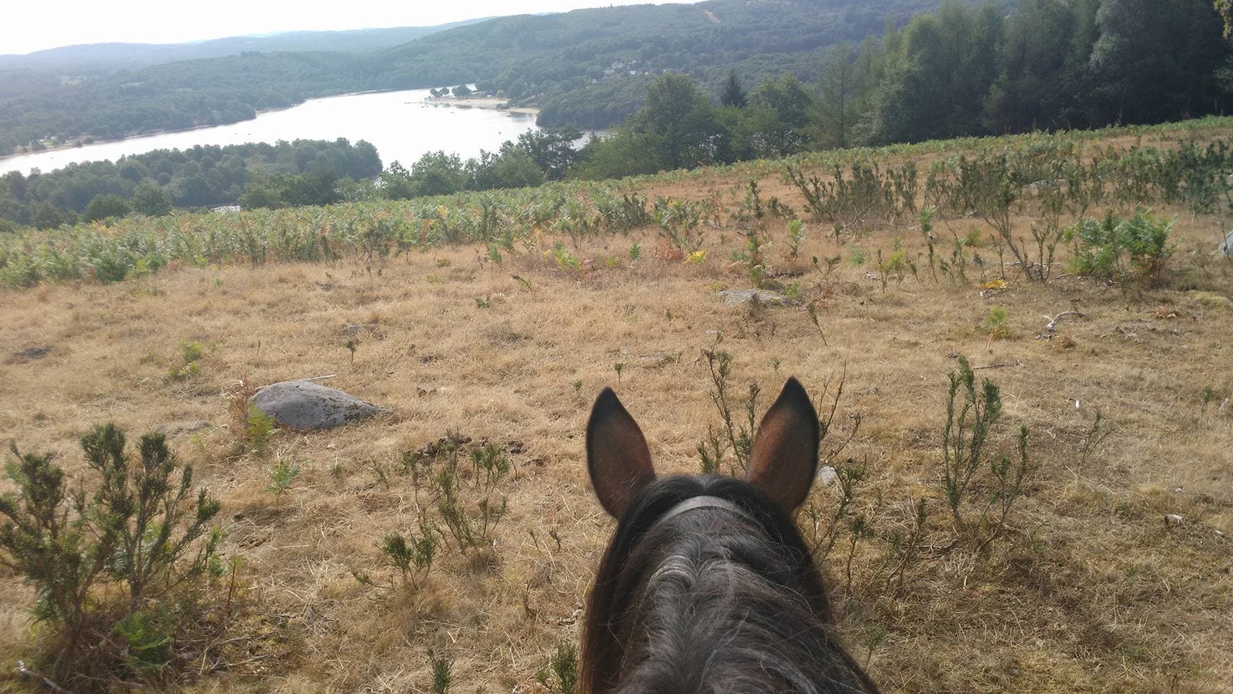 Vassiviere à cheval_1
