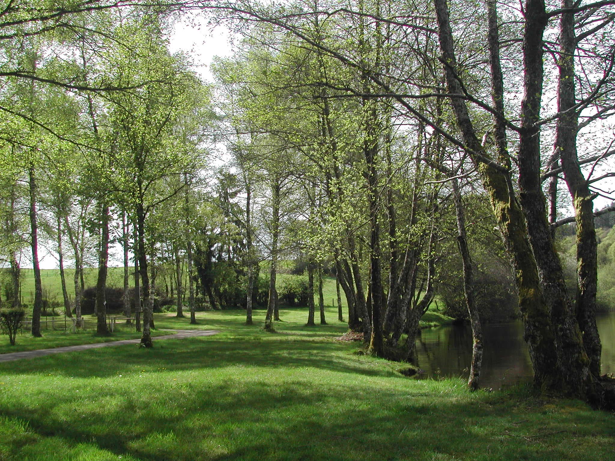 Camping municipal La Sève_7