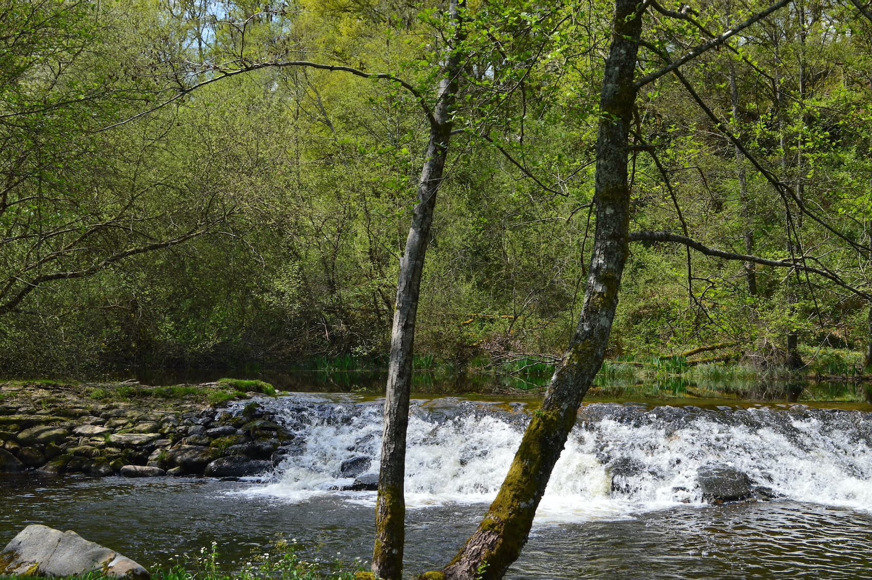 Camping municipal La Sève_8