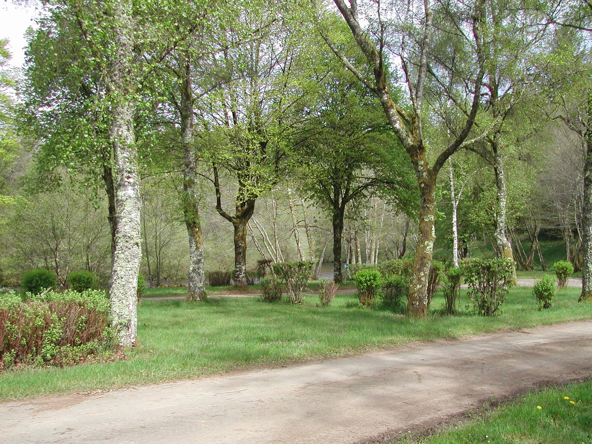 Camping municipal La Sève_2