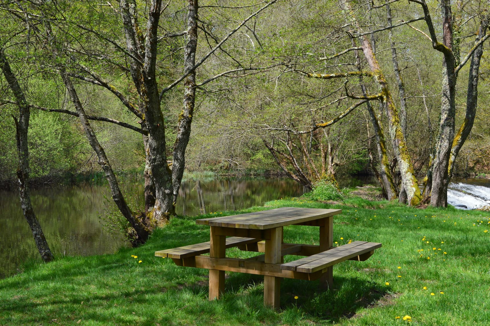 Camping municipal La Sève_4