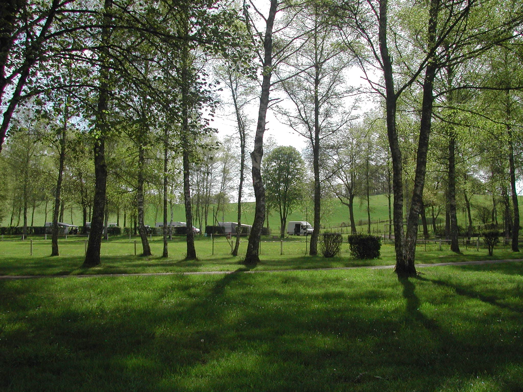 Camping municipal La Sève_6