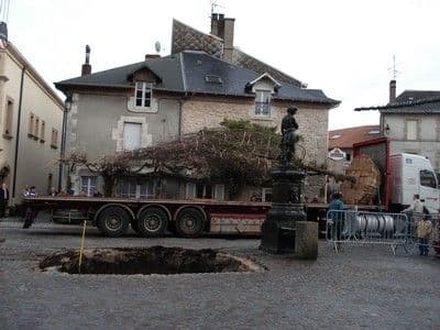 Chêne de la Liberté replanté le 6/12/2006_4