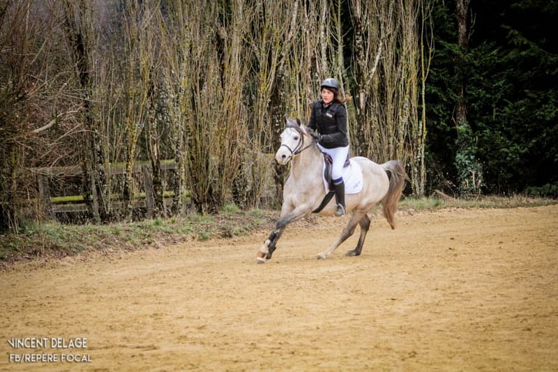 Haras Valdor_3