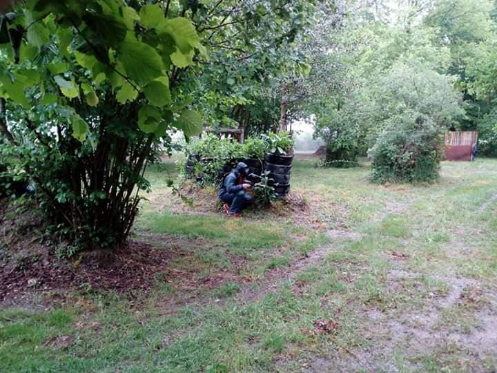 Limousin Paintball_2