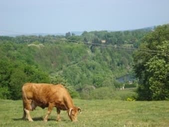 La Ferme du Bas Château_1