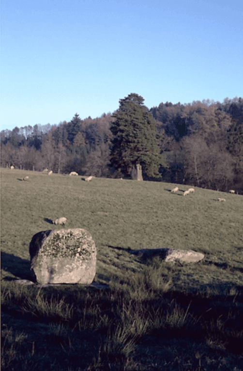Menhirs du Métayer_3