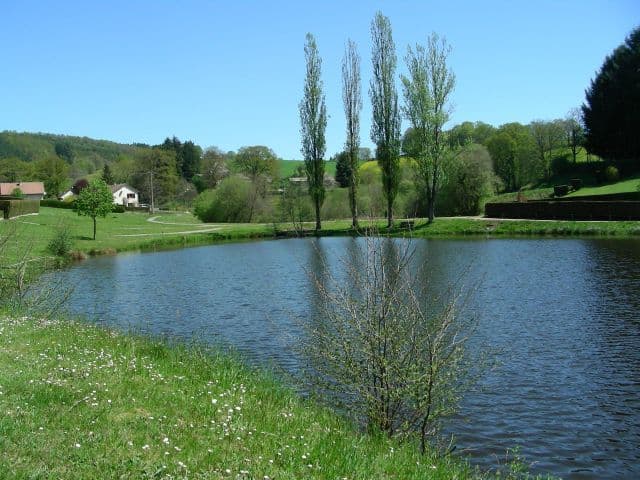 Etang de pêche de Fressengeas_1