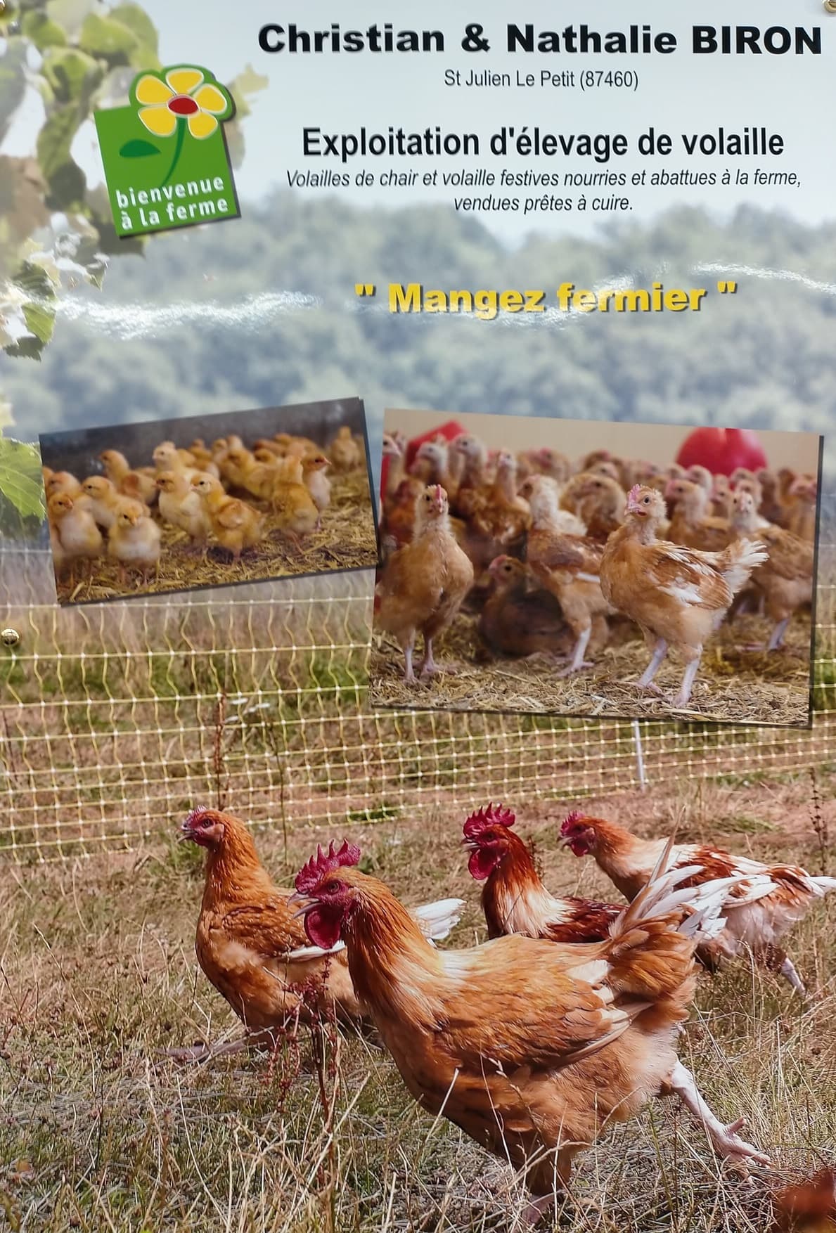 Volailles de la Ferme de Chatreix_3