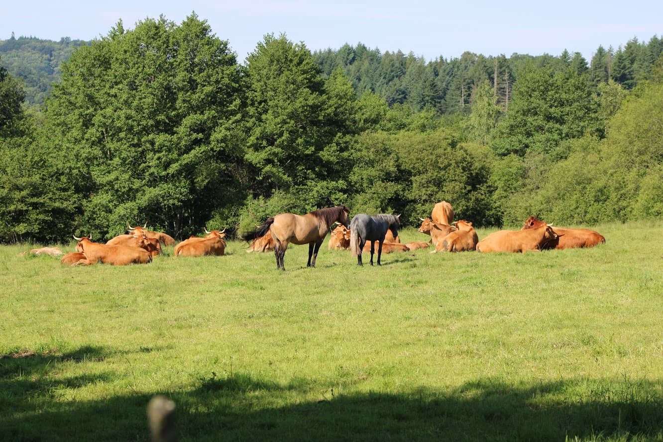 Polyculture et élevage GAEC Champs Libres_1