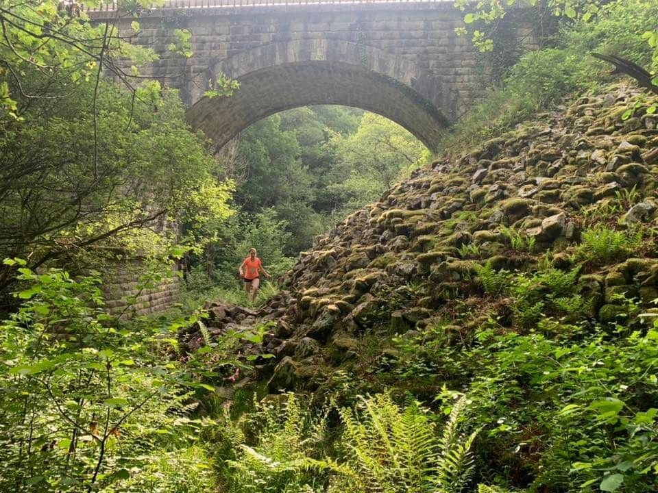 Alefpa Trail_3