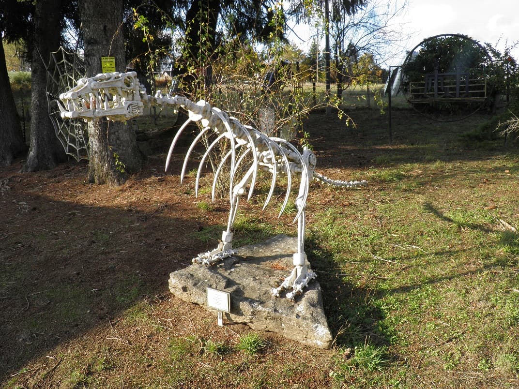 Musée de la Récup'_5