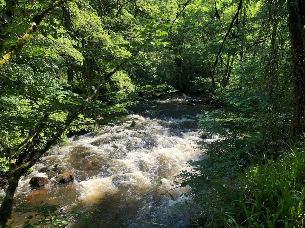 Les Gorges de la Vienne_3