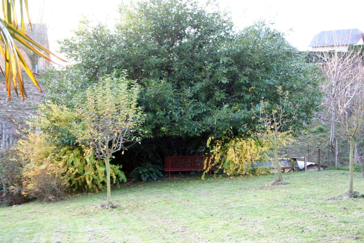 19_Maison Bergès_terrasse_jardin3_Barcus64130