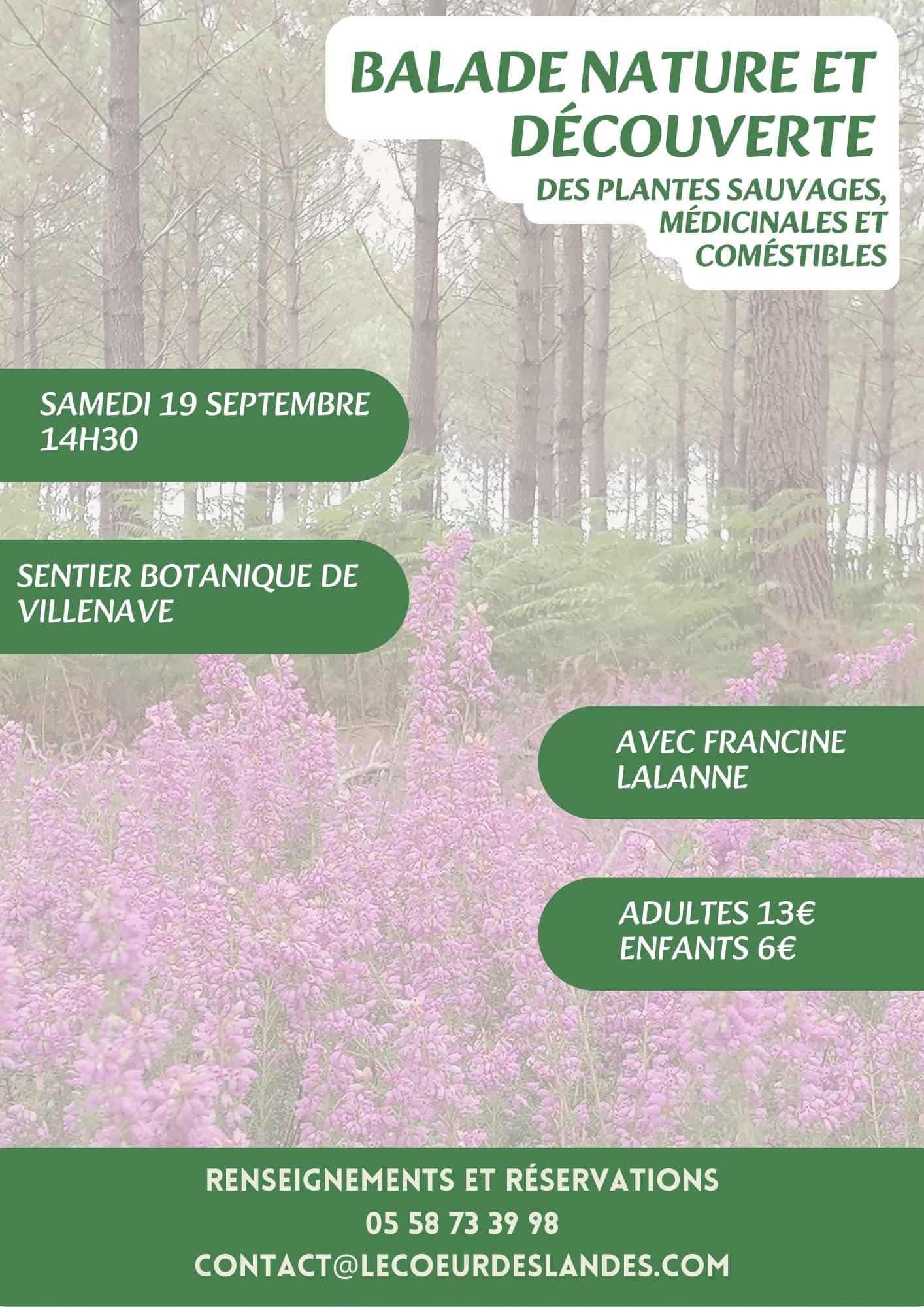 Visites, balades de l'OT - 11