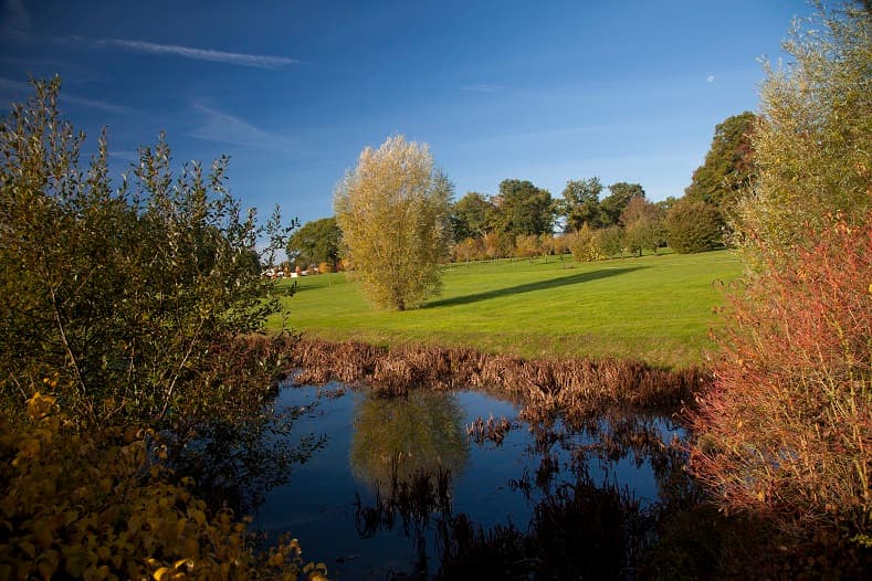 Parc des Essarts_1