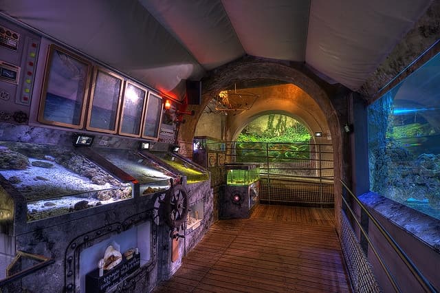 Aquarium Refuge de Limoges_2
