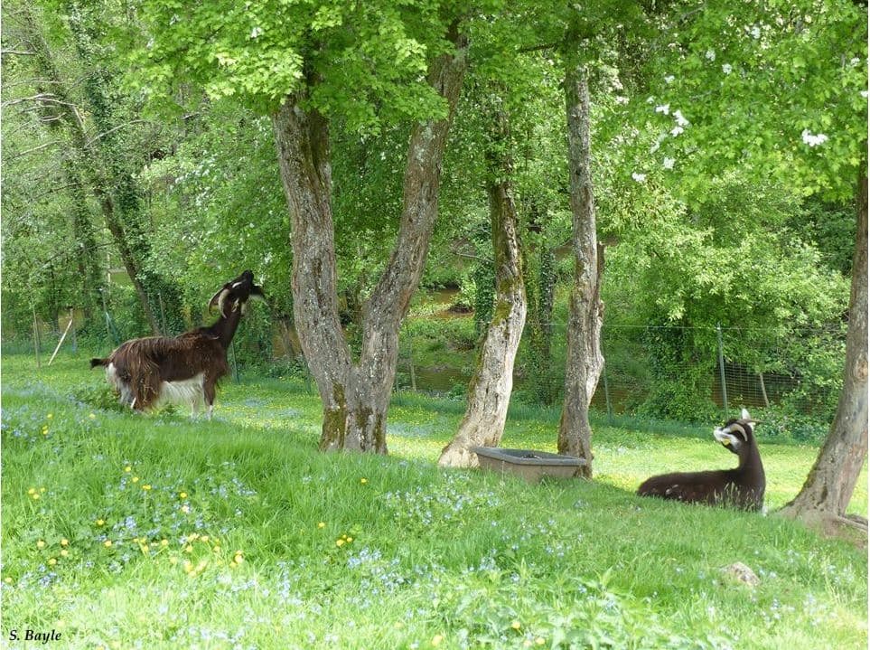 Parc de l'Aurence_4