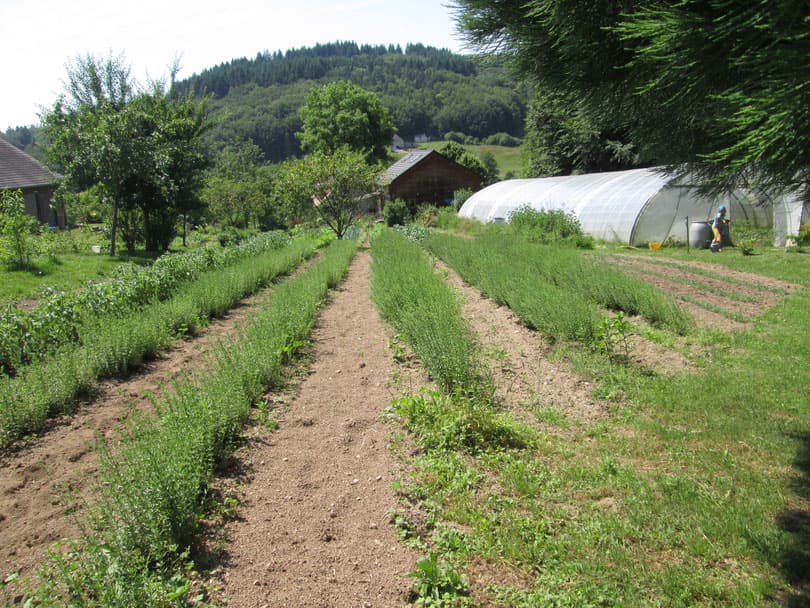 Jardin du Centaure_1