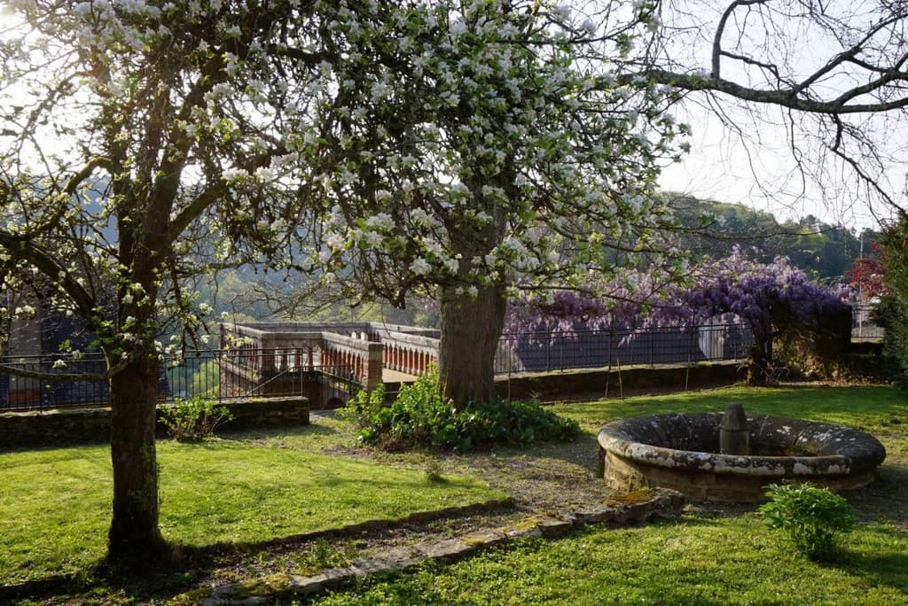 Jardin_6