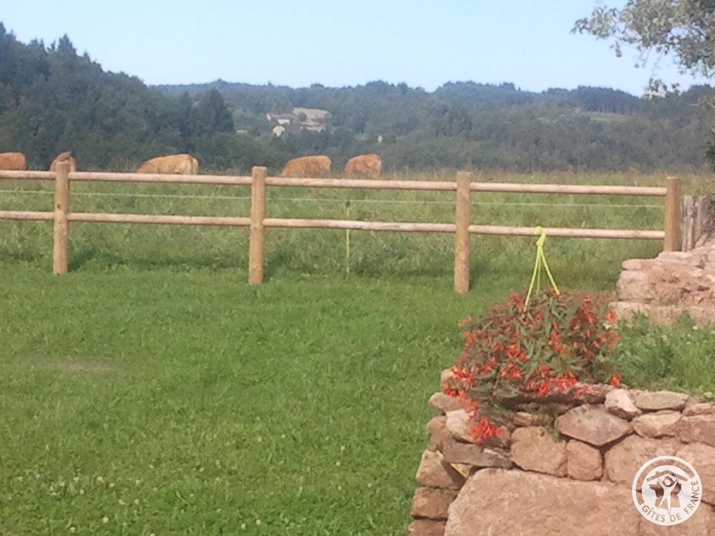 La Grange Libellule_35