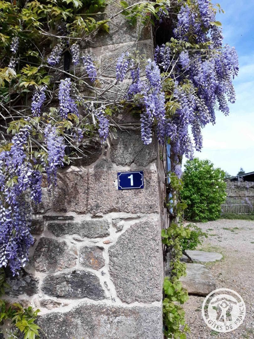 La Chaumière Libellule_13