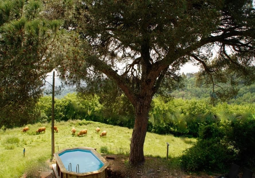 Gîte de Charlotte_20