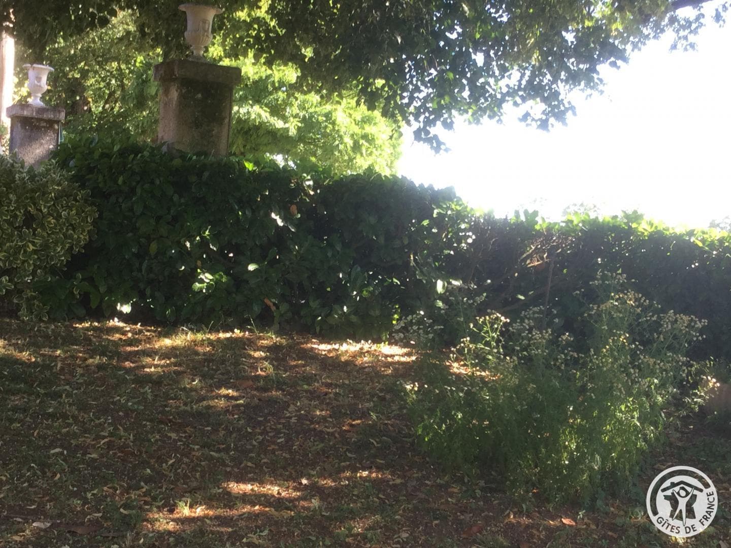 _21