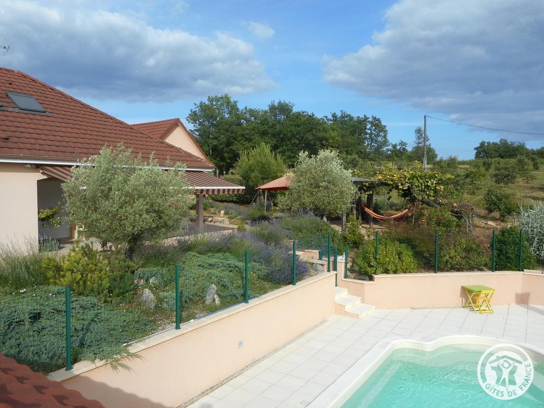 La vigne du causse_1