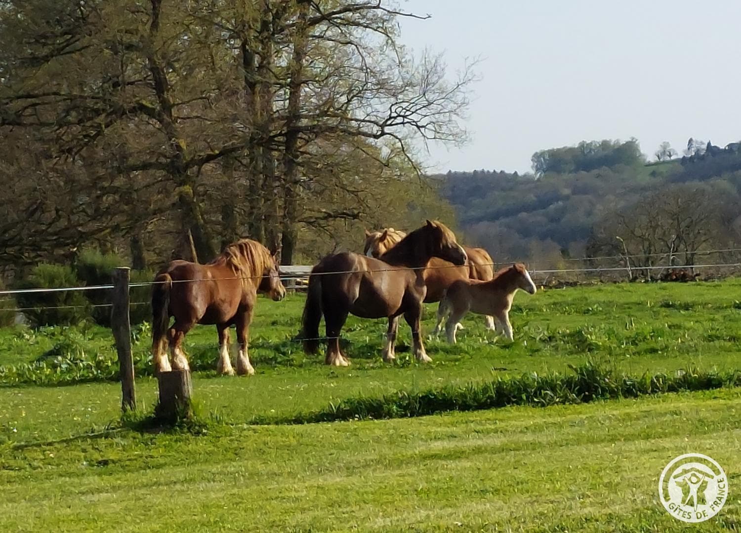 Gite Le Gauliat_25
