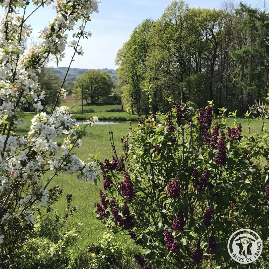 Escale en Corrèze_40