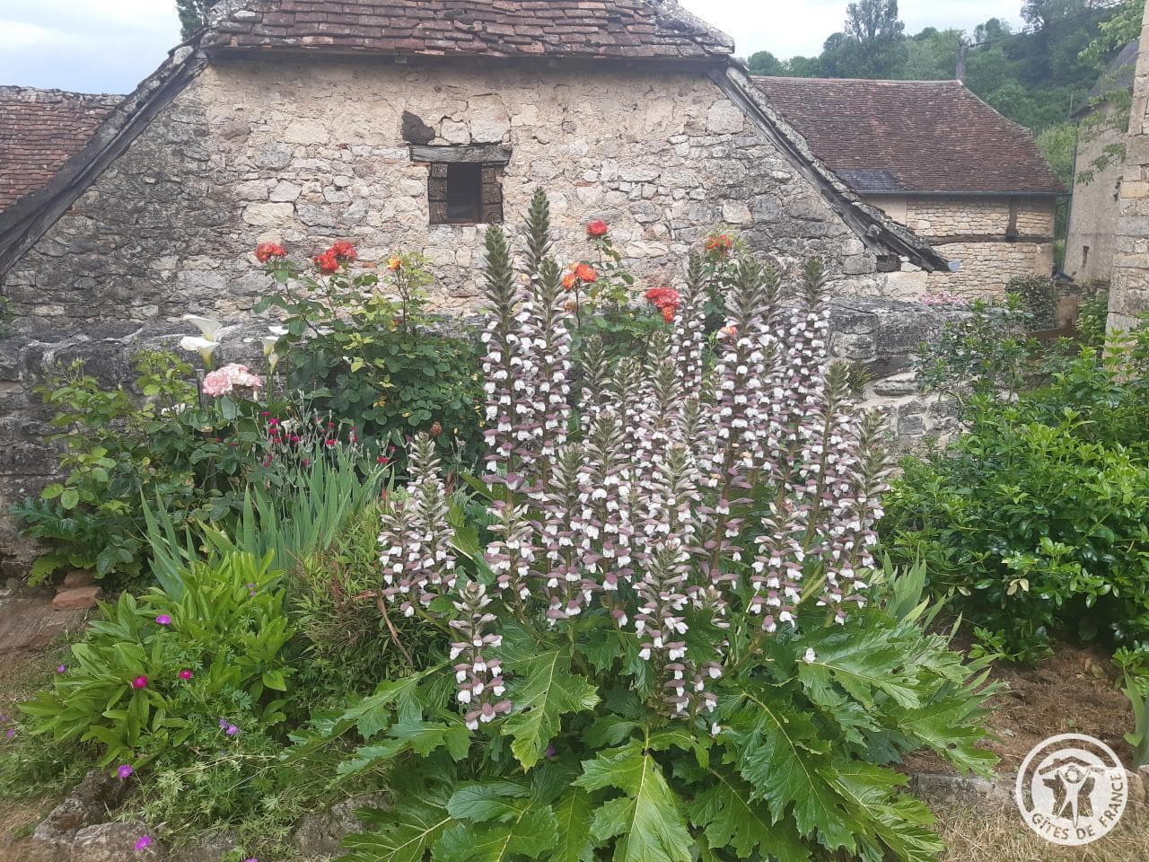 L'HIRONDELLE_34