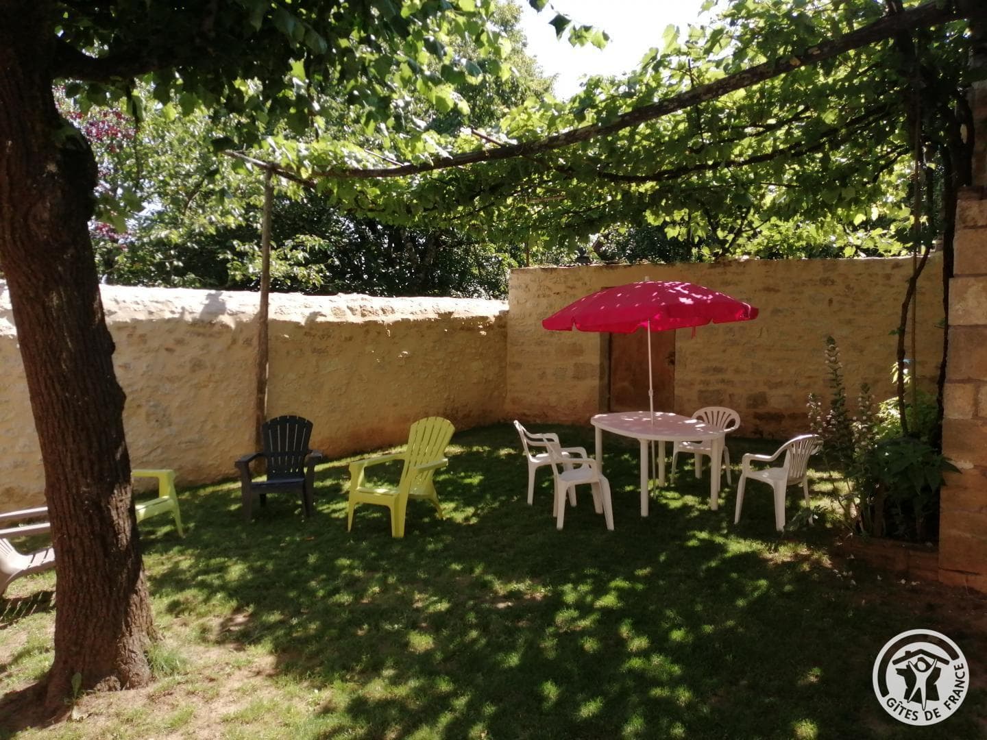 Le petit Colibri_1