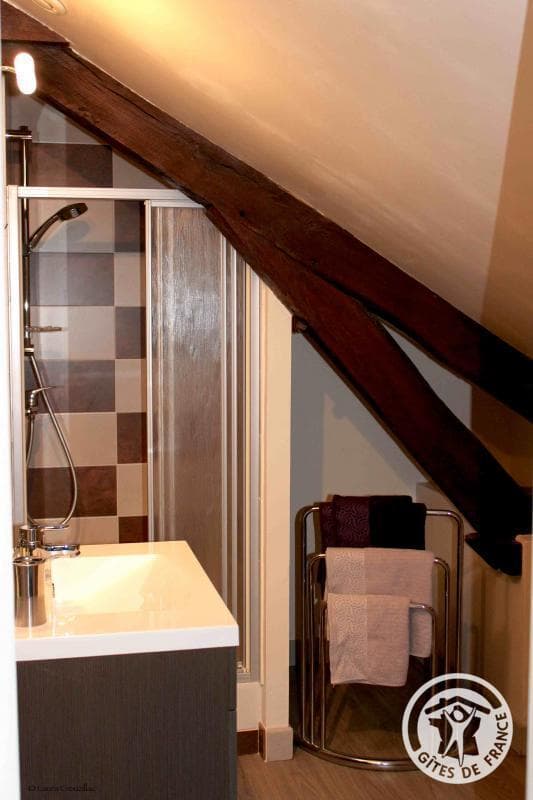 Gîte de la Petite Brunie_11