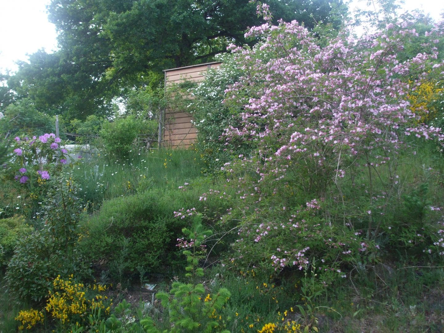 Gîte et jardins fleuris_35