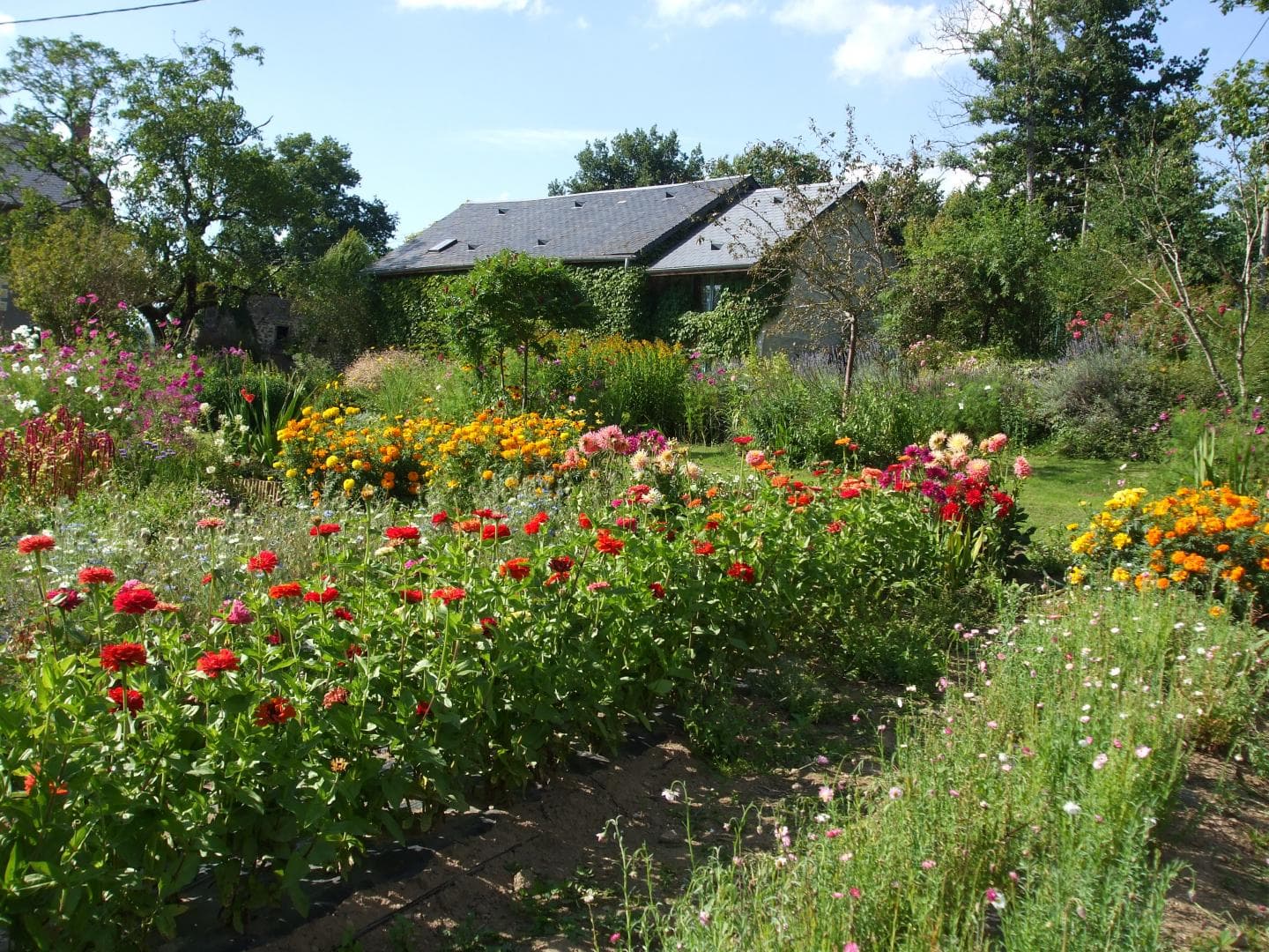 Gîte et jardins fleuris_2
