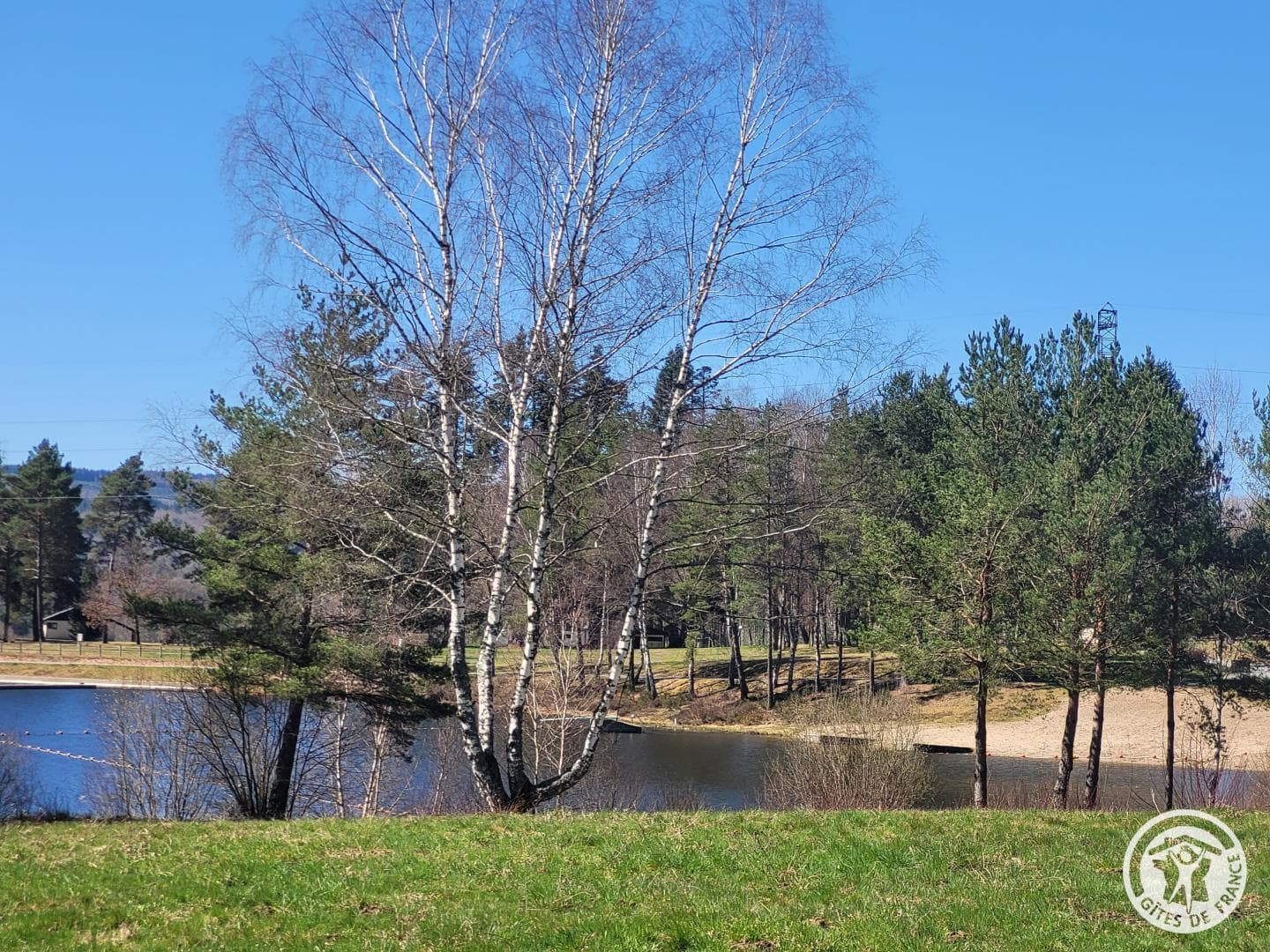 Les Myrtilles_24