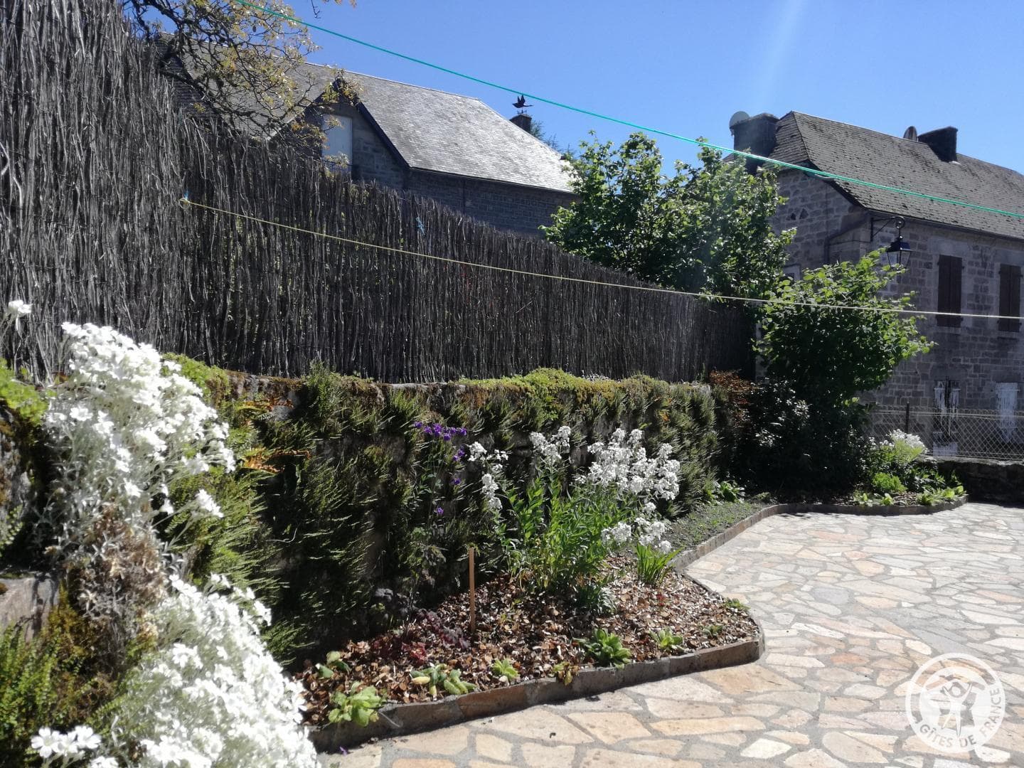 La Petite Maison_22