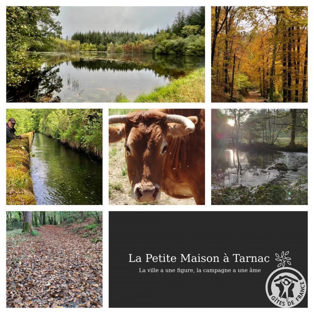 La Petite Maison_26