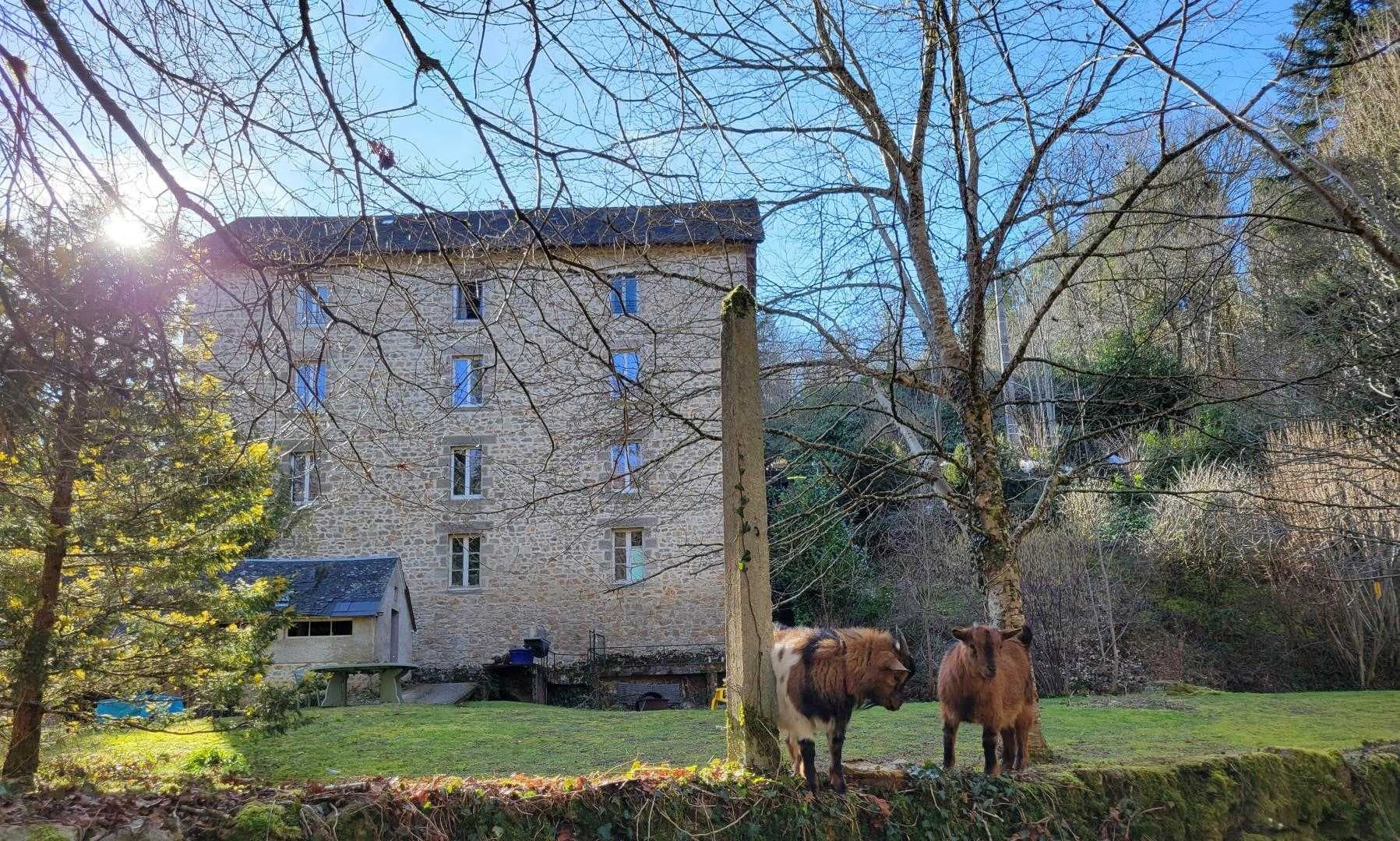 Chambre familiale_16