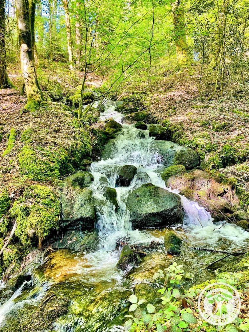 Anaïs_22
