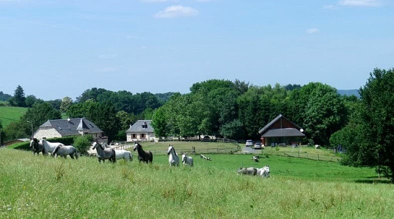19G5900-Mialaret_Camps_2
