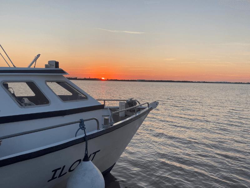 Croisière au port des Callonges avec escale Ile Patiras