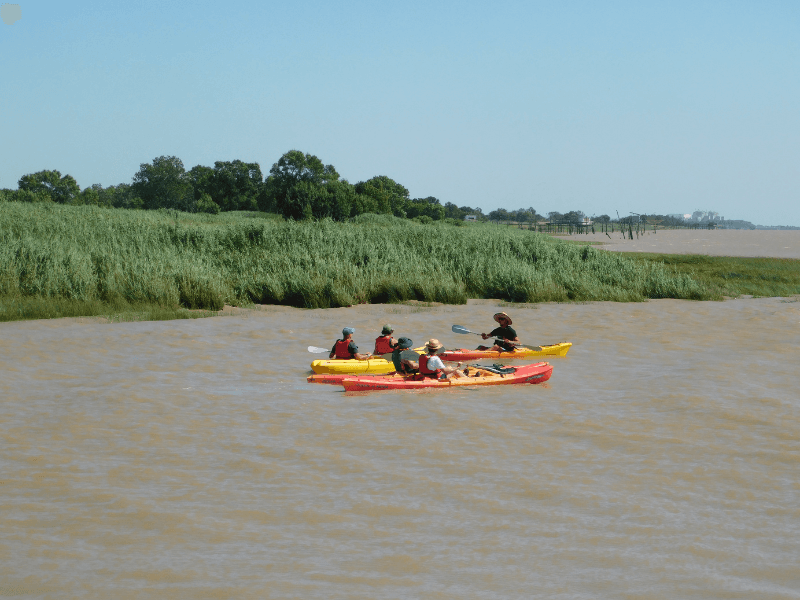 Kayak