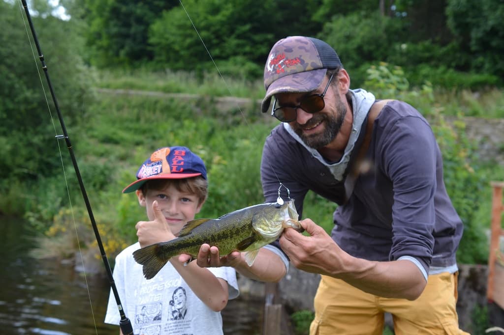 Bass