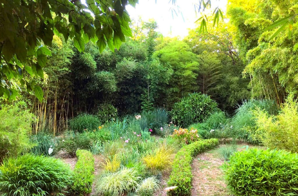2-Jardin-de-PLANBUISSON