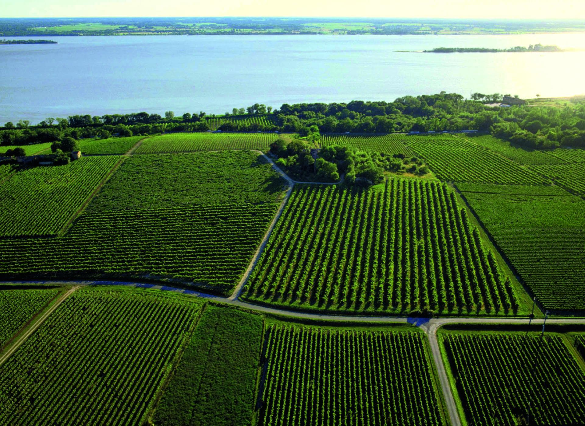 2-lesvigneronsdetutia-