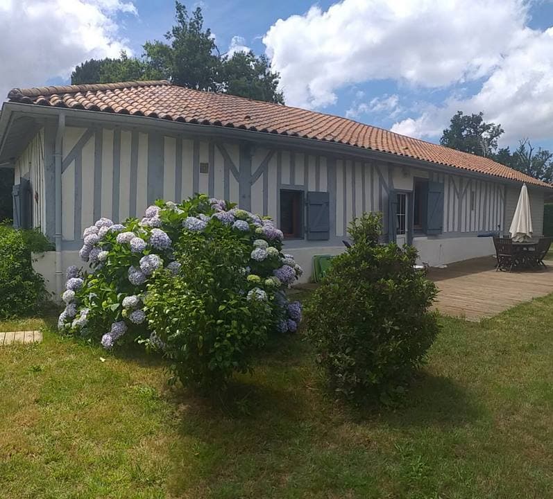 2.Terrasse (Copier)